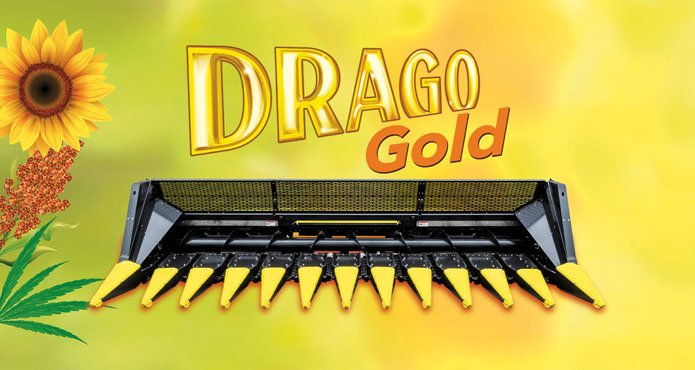 Olimac-drago-gold-testata-girasole-sorgo-sunflower-head-cueilleur-à-tournesol-sorgho-sonnenblume-hirse-sorghum-pflueckvorsatz-cabezal-girasol-sorgo