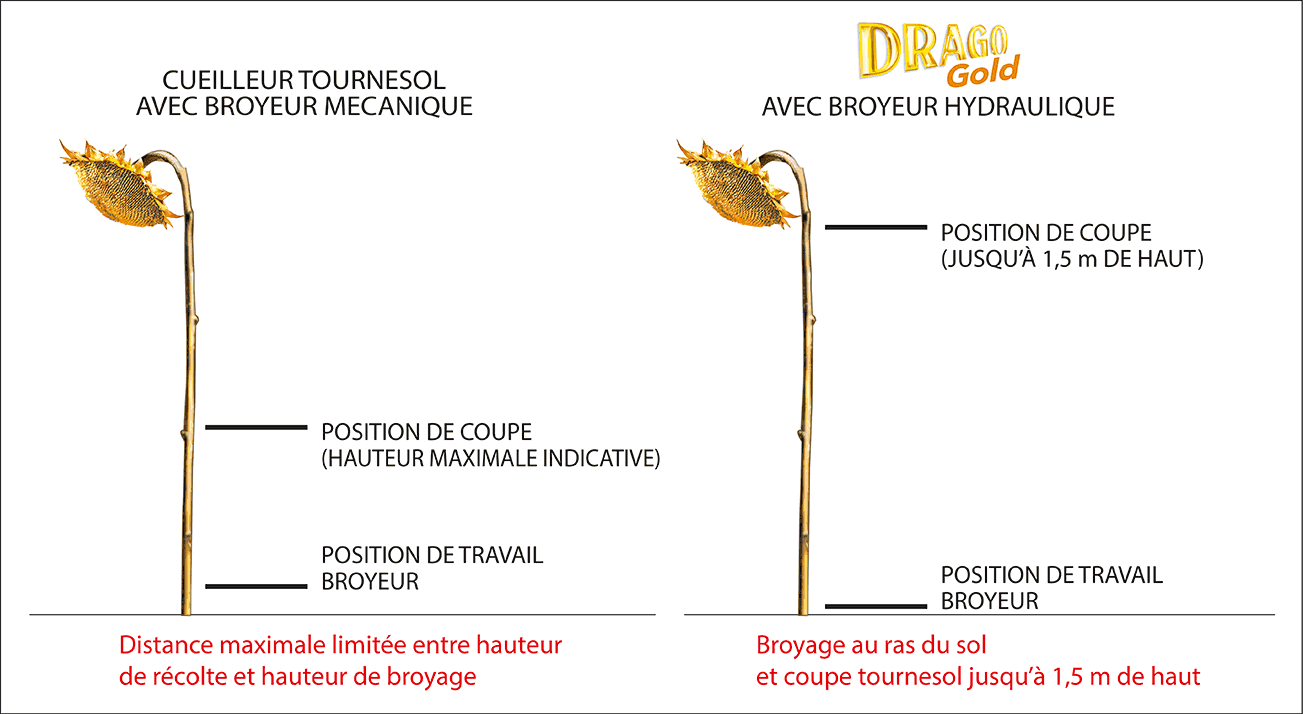 Comparaison-drago-gold-avec-broyeur-hydraulique-et-cueilleurs-avec-broyeur-mécanique