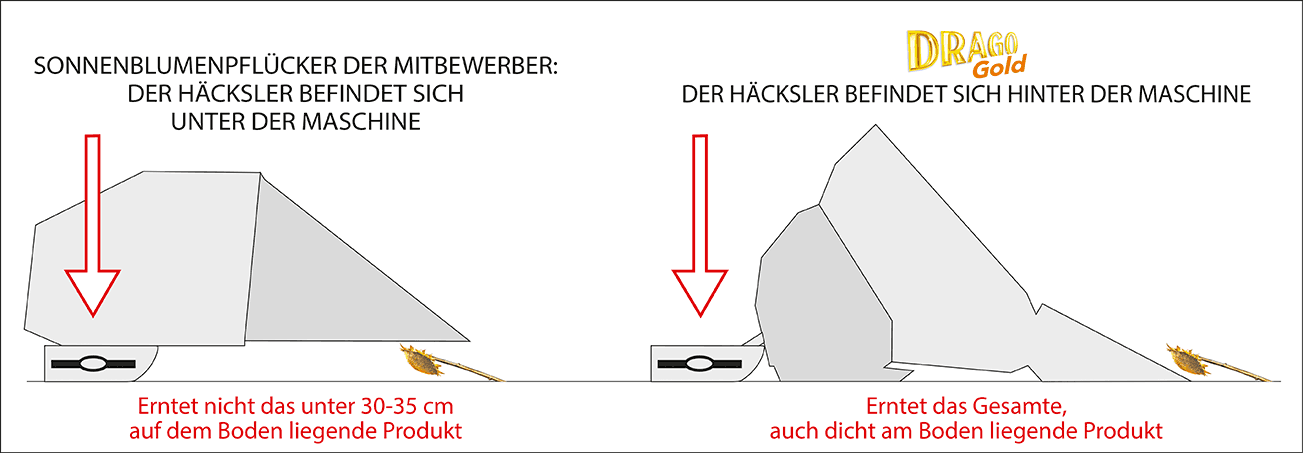 Vergleich-zwischen-sonnenblumenpflückern-mit-der-häcksler-befindet-sich-unter-der-maschine-und-drago-gold-mit-der-häcksler-befindet-sich-hinter-der-maschine