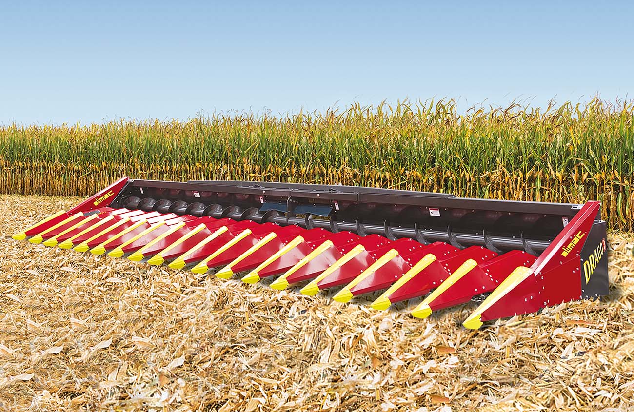 Olimac corn head DragoGT Drago2 Drago Gold sunflower head